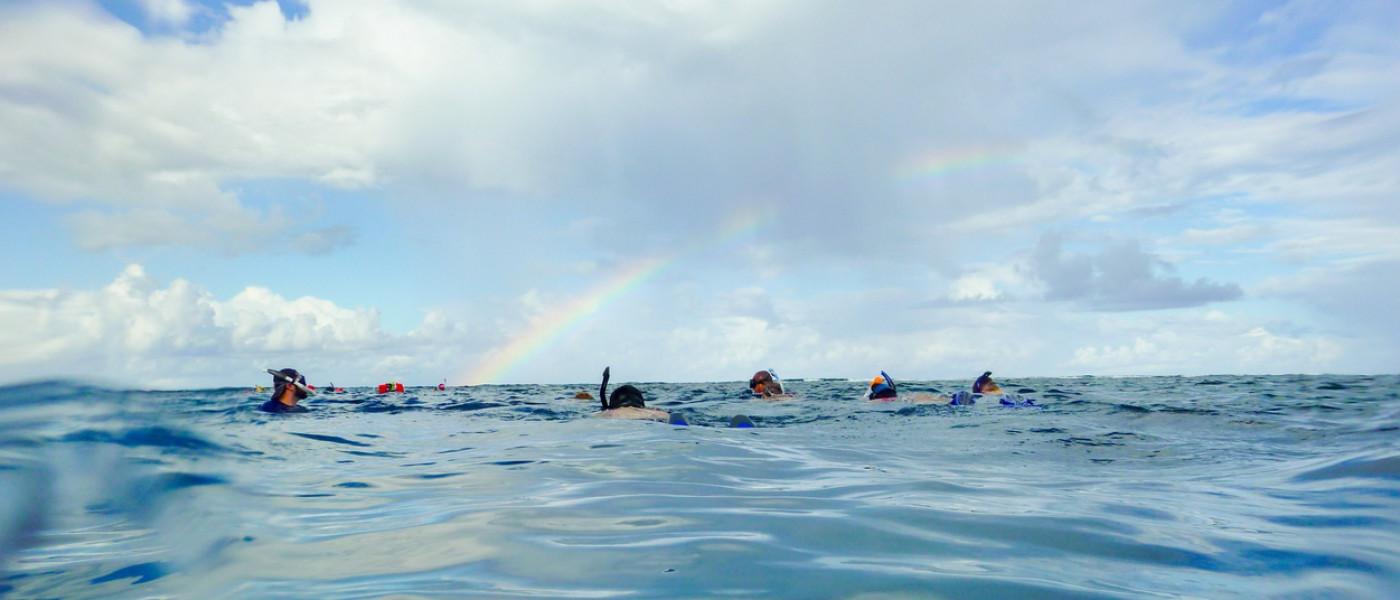 Snorkeling in Belize on the Surface Under a Rainbow