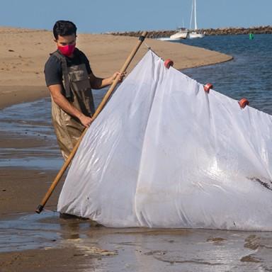 A Marine Science student engaging in hands-on learning in the ocean