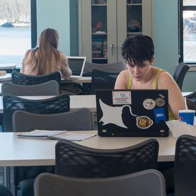 Students studying in the Student Academic Success Center